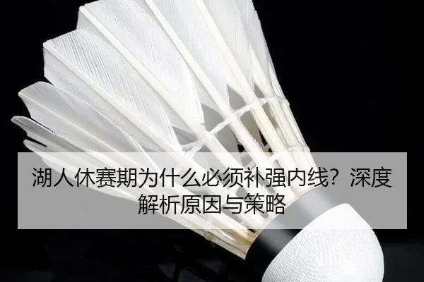 湖人休赛期为什么必须补强内线？深度解析原因与策略